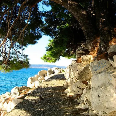 Museum * Split
