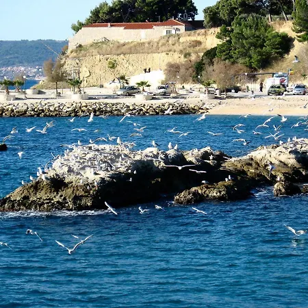 Διαμέρισμα Museum *